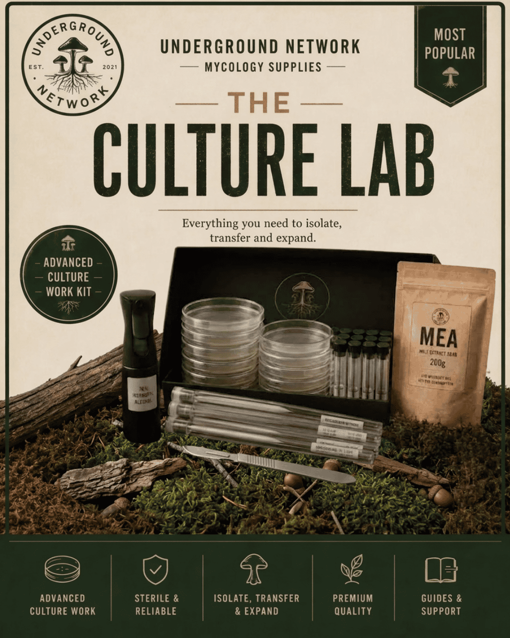 The Culture Lab